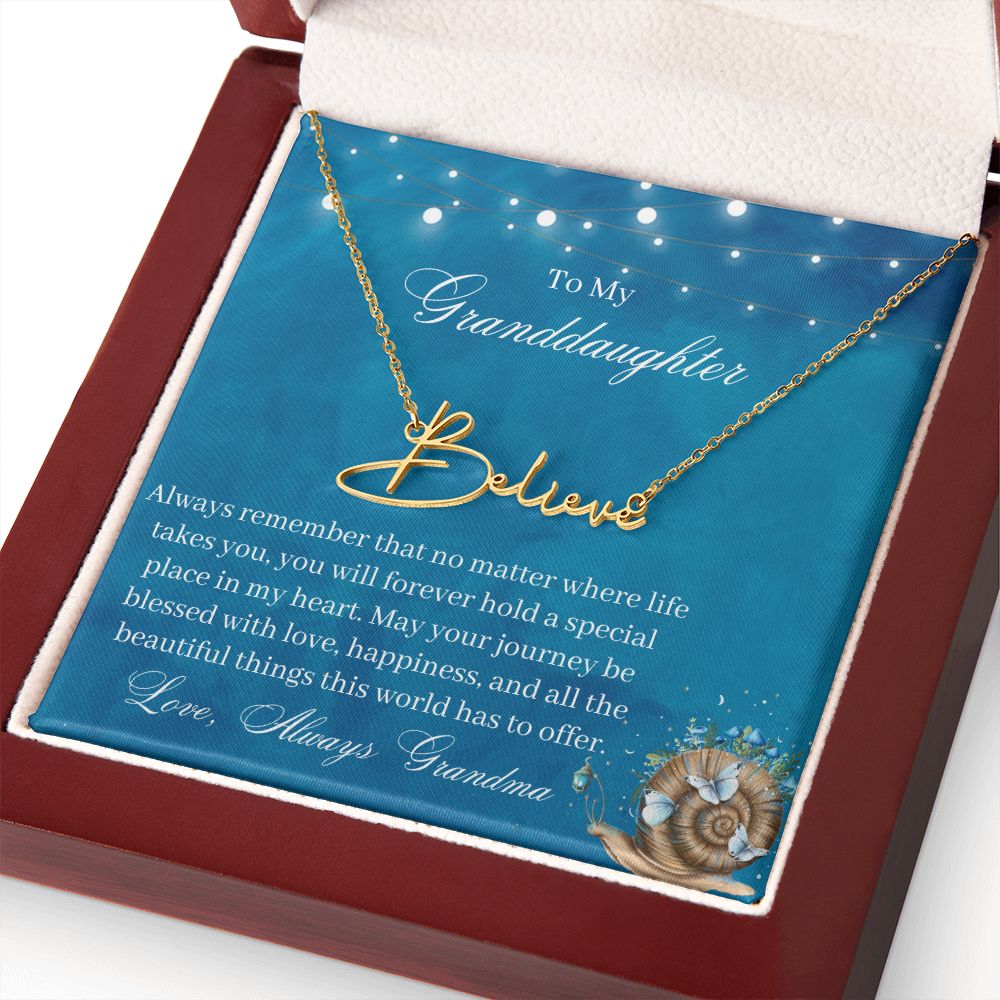 You Will Forever Hold A Special Place In My Heart - Gift For Granddaughter