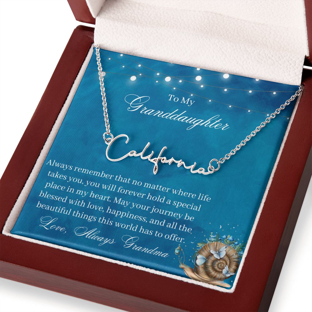 You Will Forever Hold A Special Place In My Heart - Gift For Granddaughter